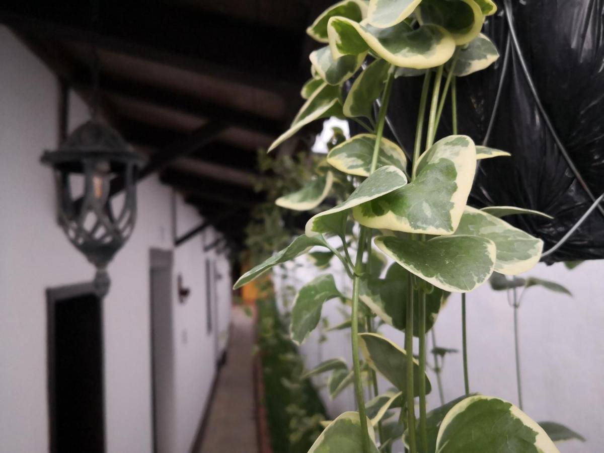 Hotel San Judas Tadeo Garden 안티구아 과테말라 외부 사진